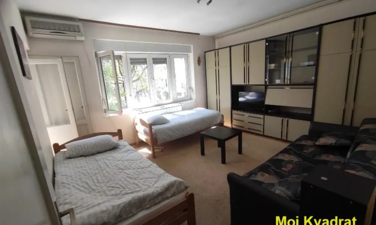 Rent, one bedroom apartment, 46m², Profesorska Kolonija, Palilula Sve Podlokacije