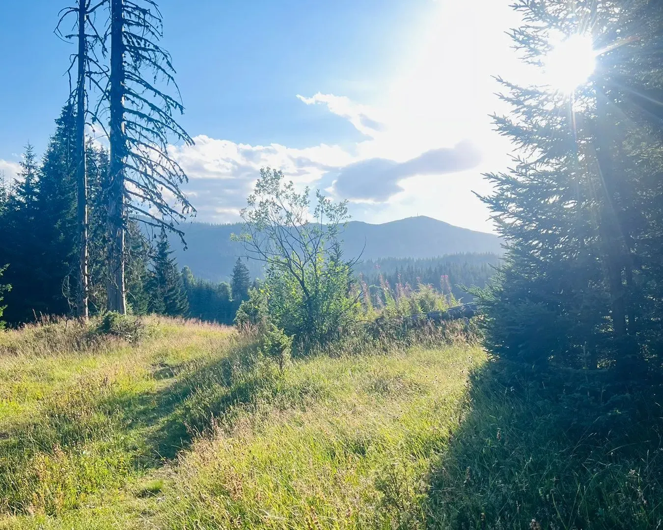 Prodaja, plac, 9000m², Žabljak, Crna Gora