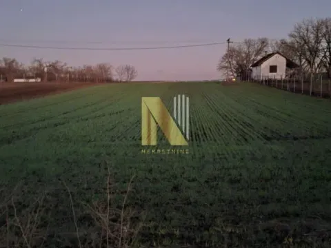 Sale, land lot, 11509m², Čenej, Novi Sad Sve Podlokacije - image 2