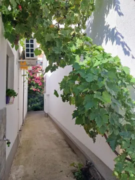 Prolaz između zgrada sa lozom i zelenilom. - image 17