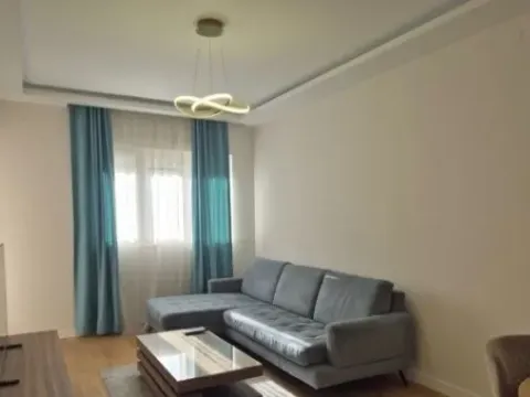 Izdavanje, jednosoban stan, 47m², Central Point, Podgorica - image 7