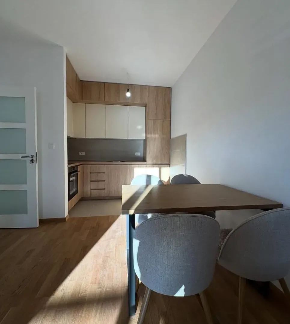 Rent, one bedroom apartment, 46m², Pobrežje, Podgorica