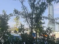 Izdavanje, poslovni prostor, 92m², Savski Venac, Beograd - image 1