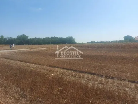 Sale, land lot, Batajnica, Beograd