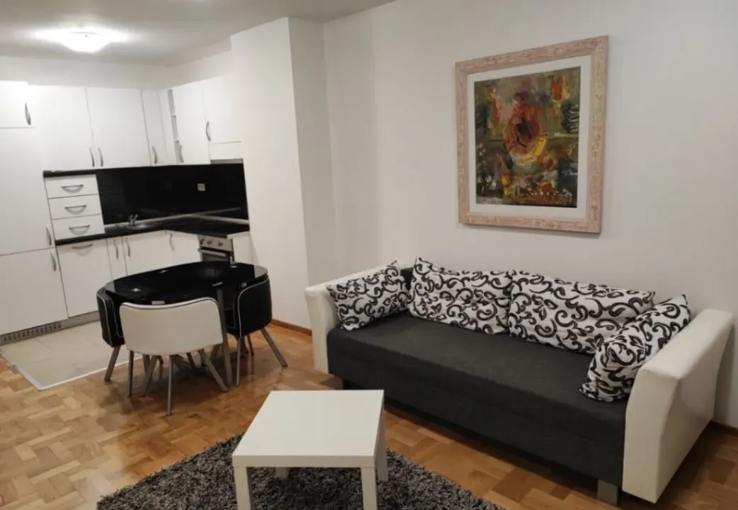 Izdavanje, jednosoban stan, 47m², Tološka šuma, Podgorica