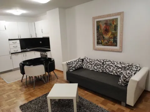 Izdavanje, jednosoban stan, 47m², Tološka šuma, Podgorica