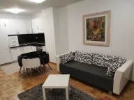 Izdavanje, jednosoban stan, 47m², Tološka šuma, Podgorica - image 1