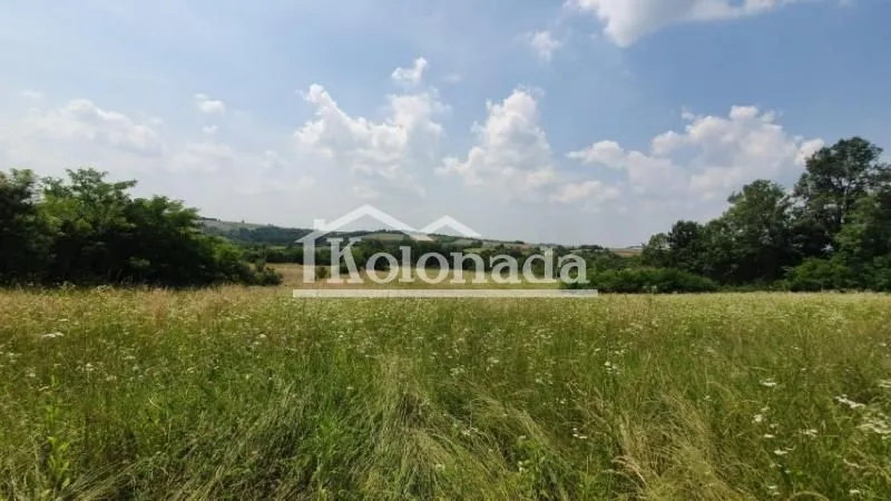 Prodaja, plac, 11600m², Sopot, Beograd