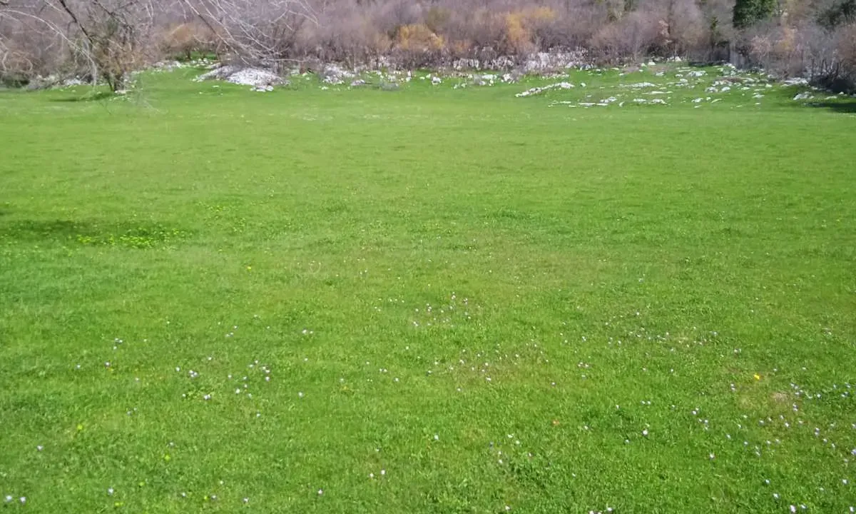 Sale, land lot, 62460m², Piperi, Podgorica