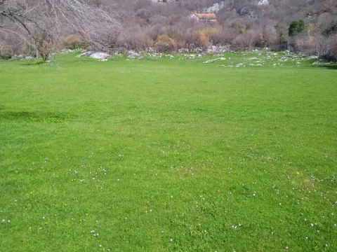 Zemljište in Piperi