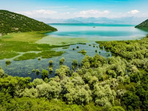 Sale, house, 110m², Seoca, Bar - image 23