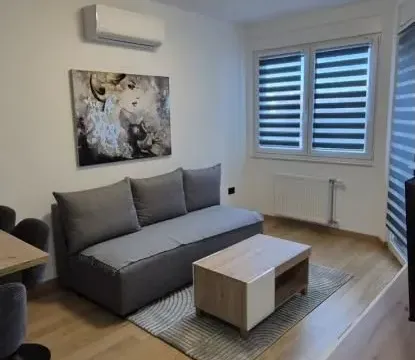 Izdavanje, jednosoban stan, 35m², Grbavica, Novi Sad Sve Podlokacije - image 2