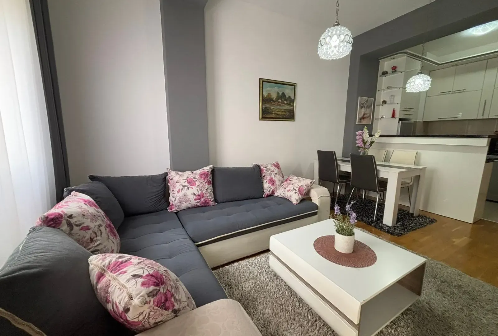 Rent, one bedroom apartment, 45m², Zabjelo, Podgorica