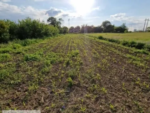 Prodaja, plac, 1000m², Zvečka, Obrenovac - image 8