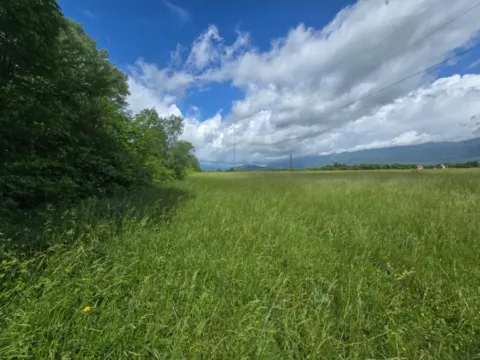 Prodaja, plac, 10616m², Kosić, Danilovgrad - image 5