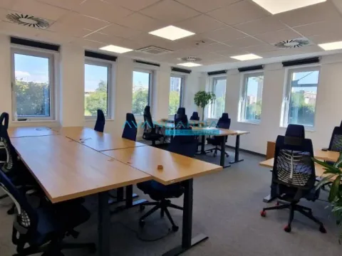 Izdavanje, poslovni prostor, 1310m², Novi Beograd Sve Podlokacije, Beograd - image 9