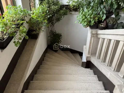 Izdavanje, poslovni prostor, 110m², Crveni Krst, Niš - image 3