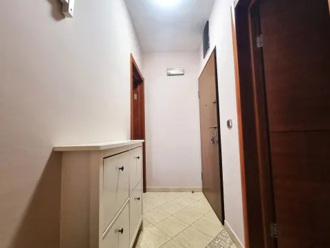 Izdavanje, jednosoban stan, 45m², Centar, Podgorica - image 7