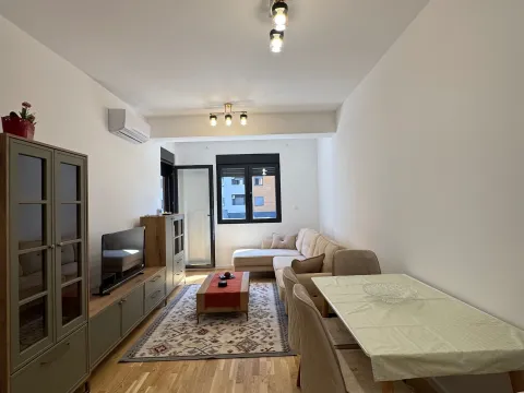 Izdavanje, jednosoban stan, 42m², Stari Aerodrom, Podgorica - image 3
