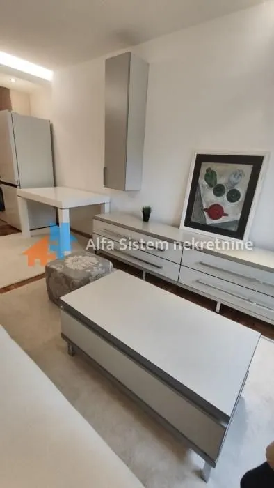 Izdavanje, dvosoban stan, 40m², Voždovac Sve Podlokacije, Beograd