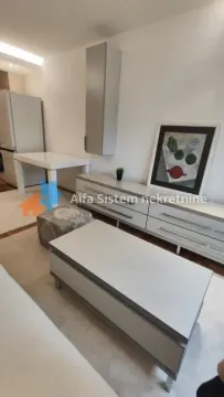 Izdavanje, dvosoban stan, 40m², Voždovac Sve Podlokacije, Beograd - image 4