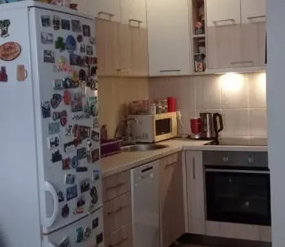 Izdavanje, dvosoban stan, 51m², Salajka, Novi Sad Sve Podlokacije - image 4