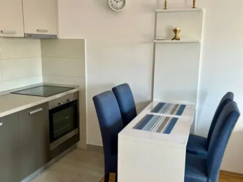 Izdavanje, jednosoban stan, 38m², Zabjelo, Podgorica - image 5