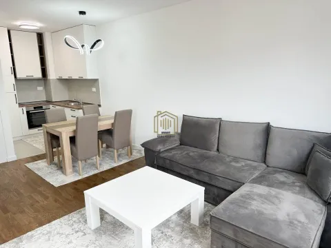 Izdavanje, jednosoban stan, 47m², Stari Aerodrom, Podgorica