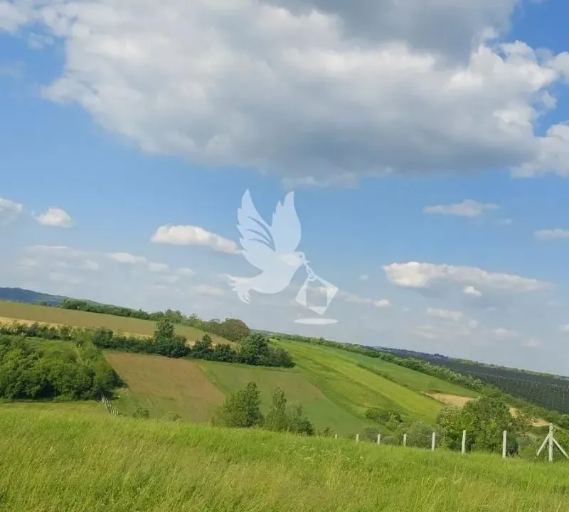 Sale, land lot, 16400m², Koraćica, Mladenovac