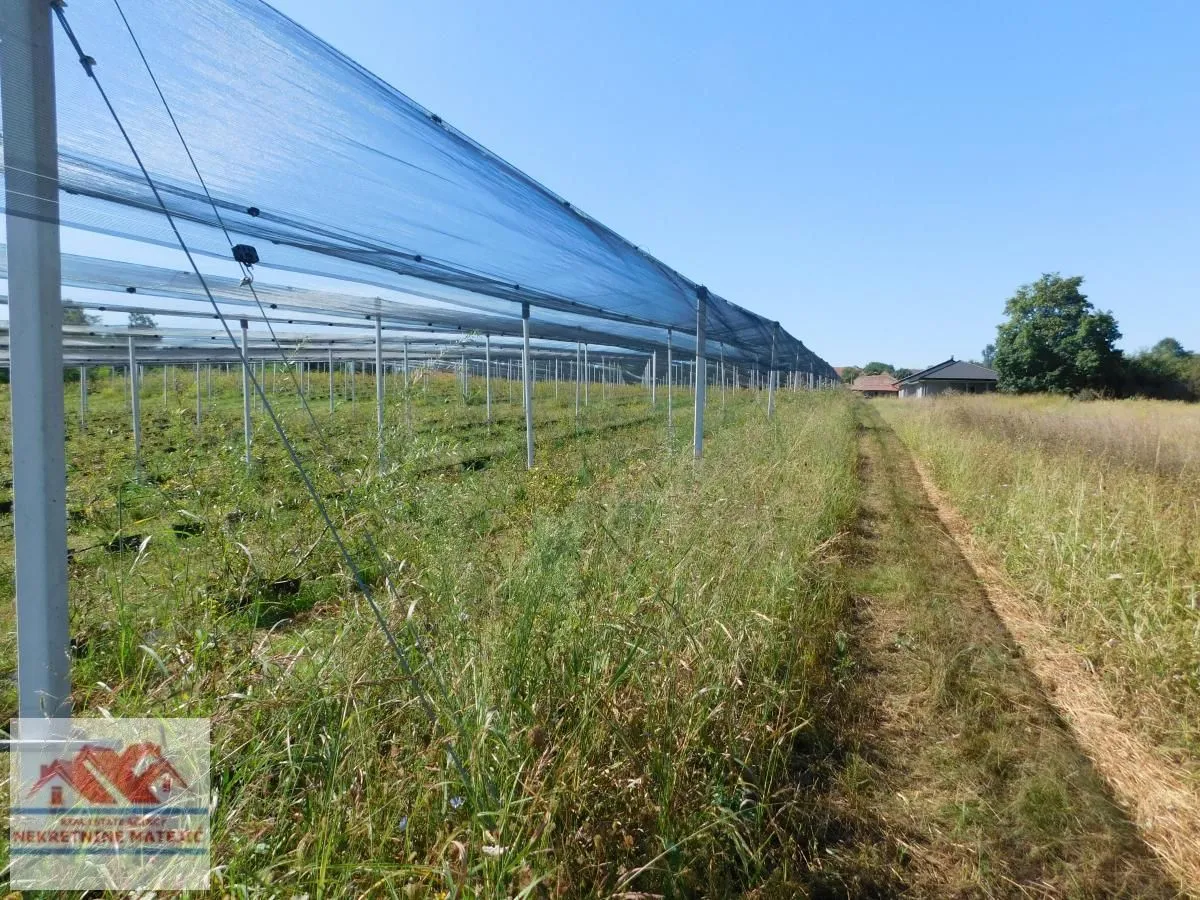 Prodaja, plac, 350m², Kragujevac, Srbija