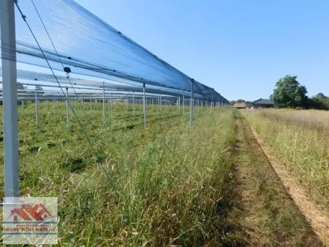 Sale, land lot, 350m², Kragujevac, Srbija - image 24