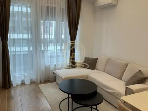 Rent, one bedroom apartment, 50m², Novi Beograd Blok 65, Novi Beograd Sve Podlokacije - image 2