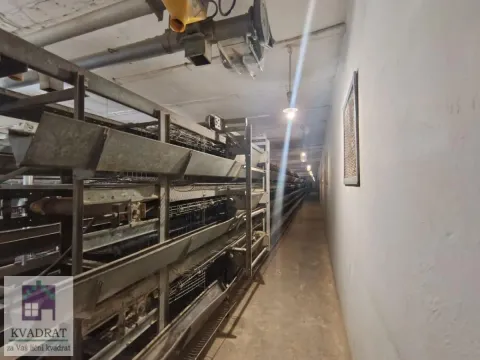 Prodaja, poslovni prostor, 163m², Zvečka, Obrenovac - image 23