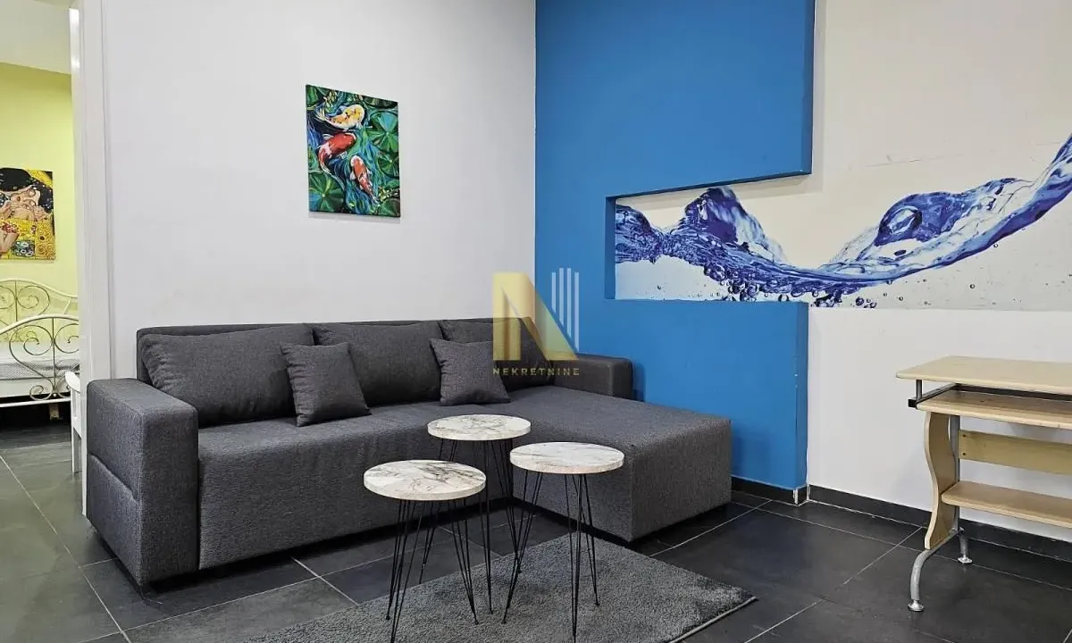 Izdavanje, dvosoban stan, 57m², Centar, Novi Sad