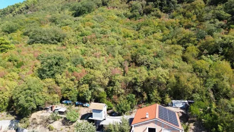 Pogled iz vazduha prikazuje kuću sa solarnim panelima u šumovitom okruženju. - image 7