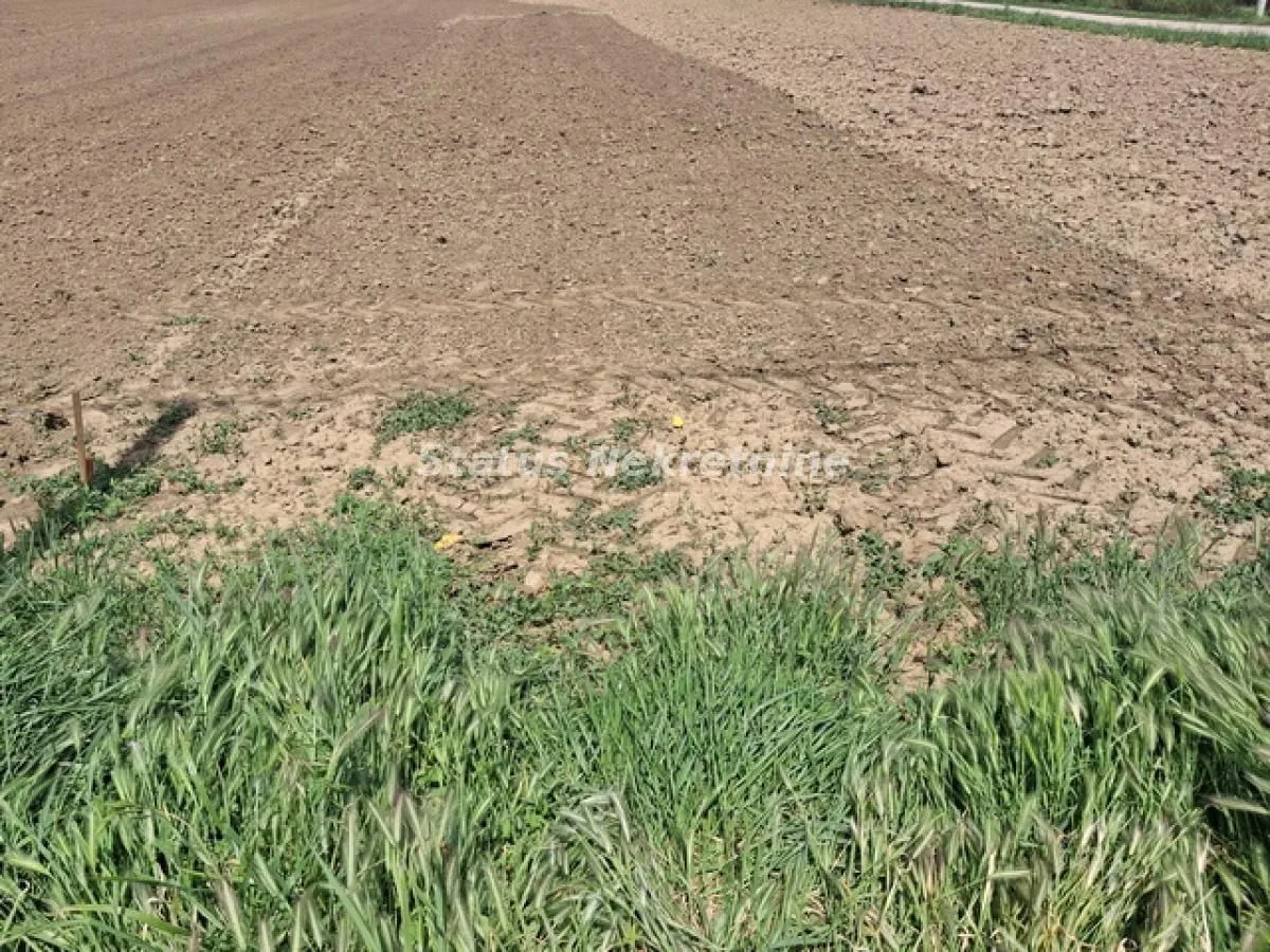 Prodaja, plac, 738m², Futog, Novi Sad Sve Podlokacije