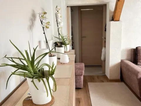 Sale, one bedroom apartment, 37m², Novo naselje, Novi Sad - image 11