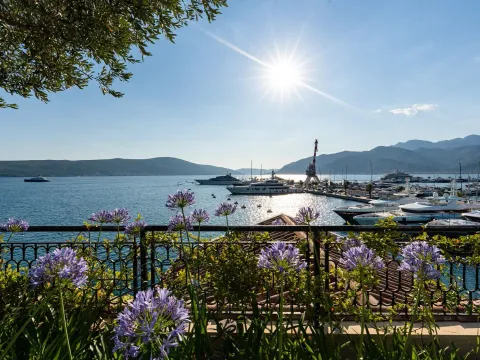 Prodaja, dvosoban stan, 198m², Porto Montenegro, Tivat - image 2