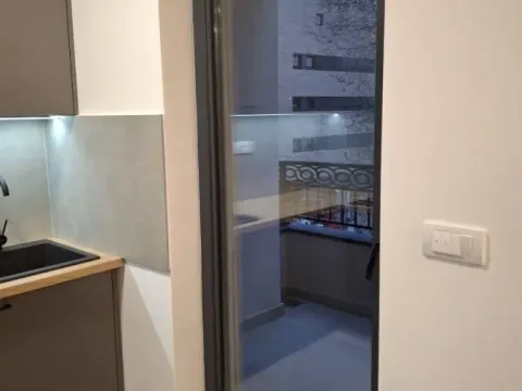 Izdavanje, dvosoban stan, 35m², Pasino Brdo, Voždovac Sve Podlokacije - image 8