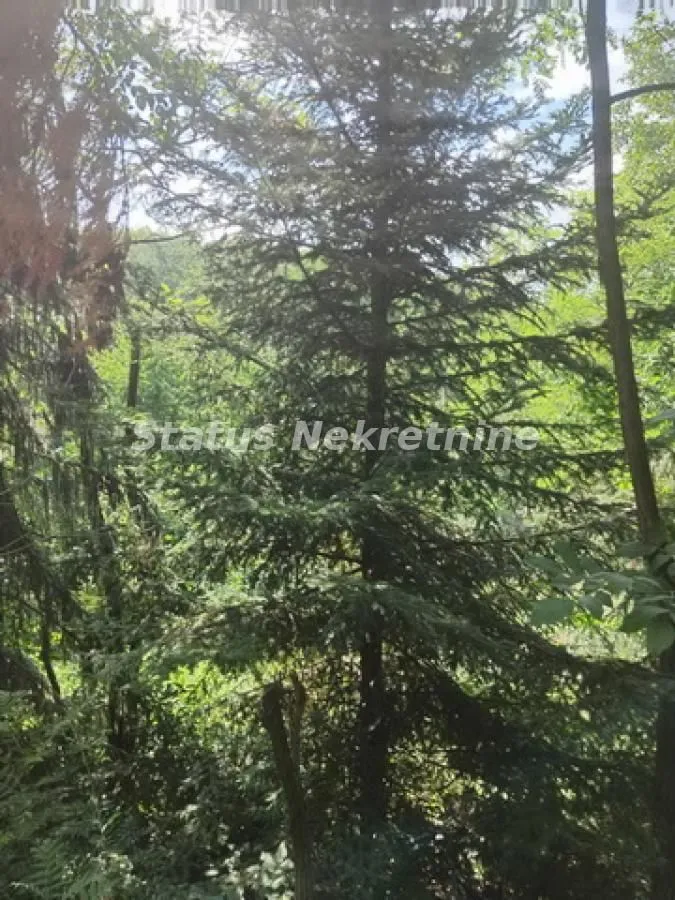 Prodaja, plac, 700m², Beočin, Srbija