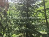 Prodaja, plac, 7m², Beočin, Srbija - image 11