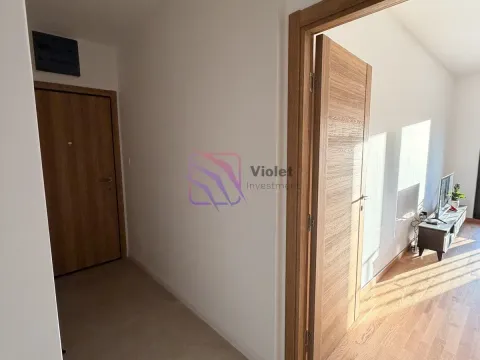 Rent, one bedroom apartment, 61m², Tološi, Podgorica - image 15