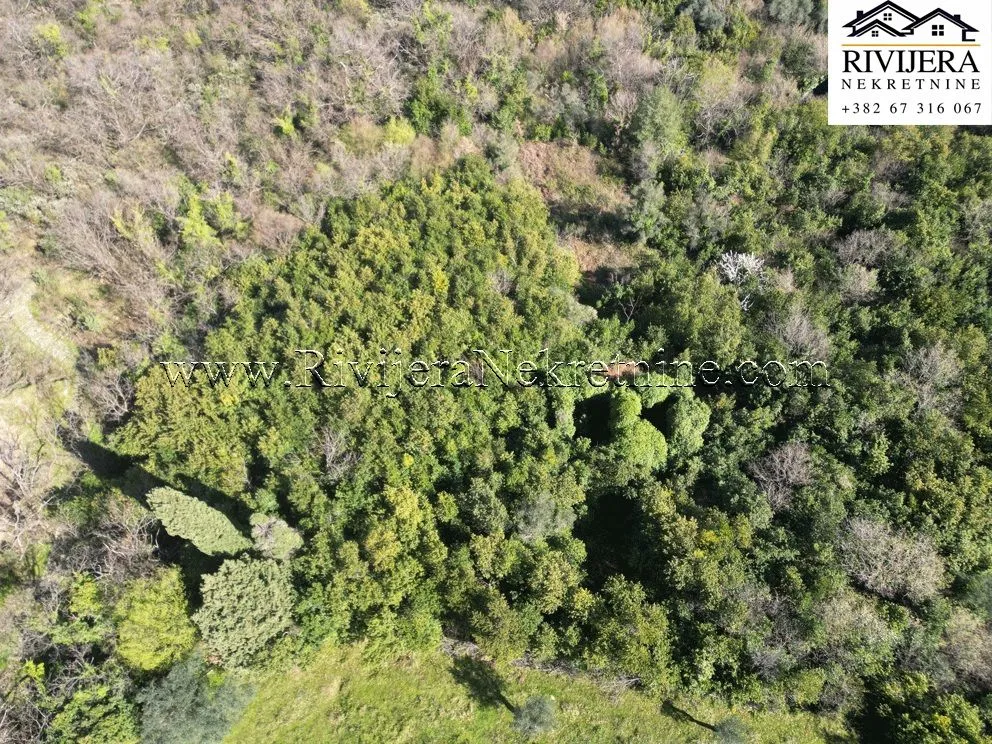 Prodaja, plac, 3769m², Stoliv, Kotor