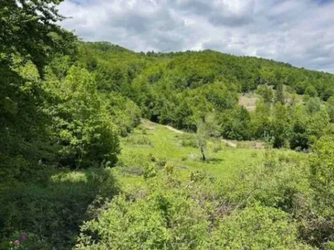 Sale, land lot, 31203m², Žirci, Kolašin - image 3