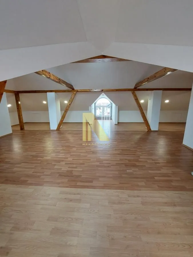Rent, office space, 250m², Veternik, Novi Sad Sve Podlokacije