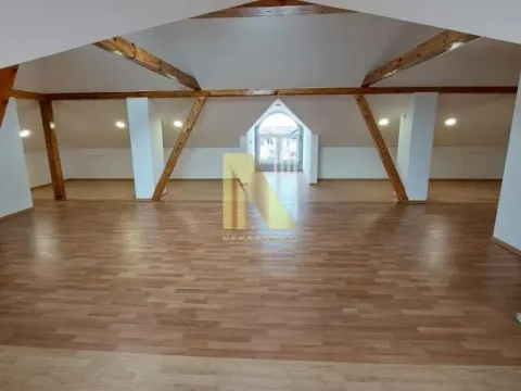 Izdavanje, poslovni prostor, 250m², Veternik, Novi Sad Sve Podlokacije - image 15