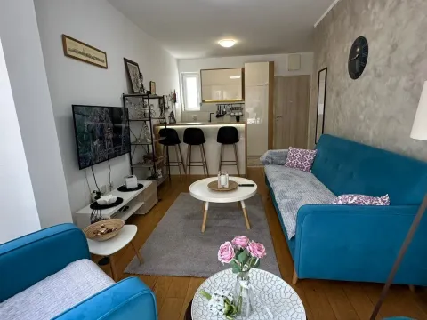 Izdavanje, jednosoban stan, 35m², Ljubović, Podgorica