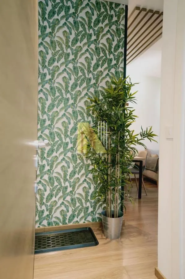 Izdavanje, dvosoban stan, 45m², Centar, Novi Sad