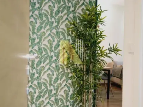 Izdavanje, dvosoban stan, 45m², Centar, Novi Sad - image 12