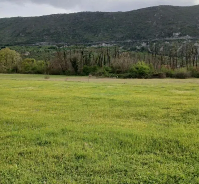 Sale, land lot, 2000m², Zagorak, Danilovgrad